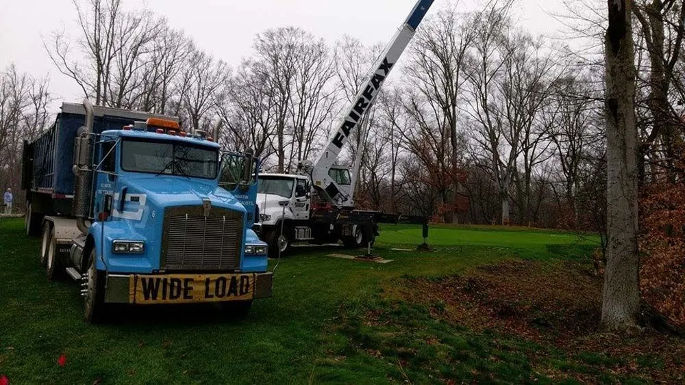 Crane truck positioned for heavy tree removal on a property