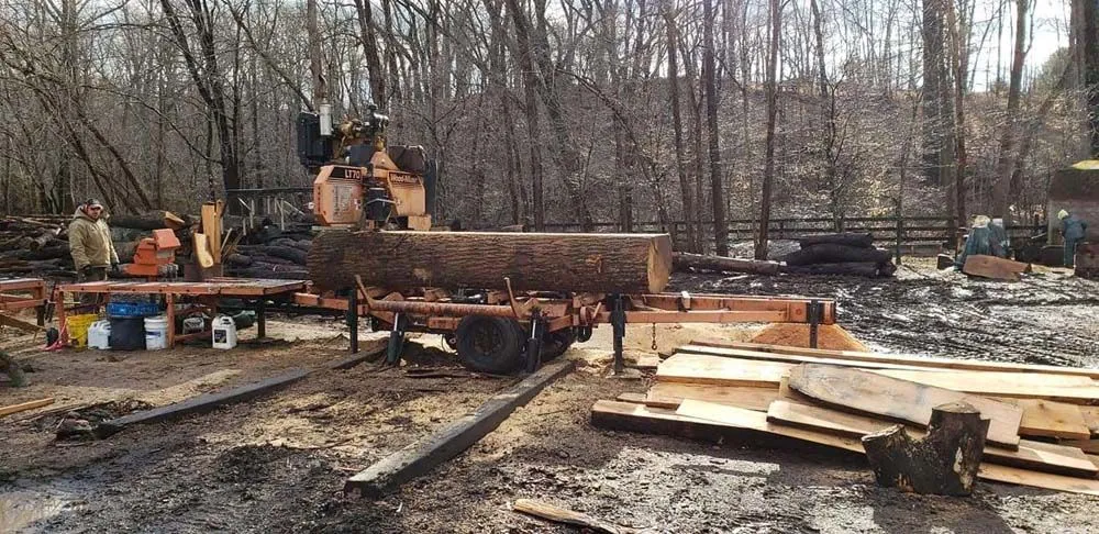 Log milling setup with large timber on portable sawmill