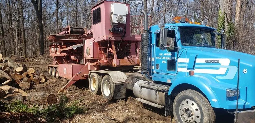 Heavy equipment and grinder truck on forest clearing job