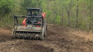 Forestry mulching machine clearing overgrowth