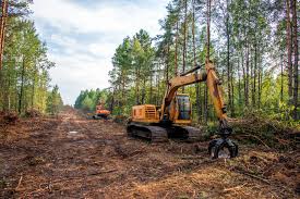 Excavator performing land clearing in wooded area