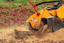 Stump grinder removing a tree stump